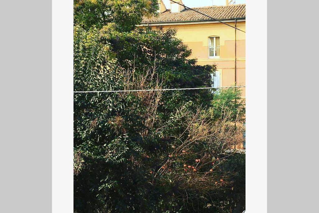 House Bologna Stazione Mazzini Flat X 2 Bolonha Exterior foto